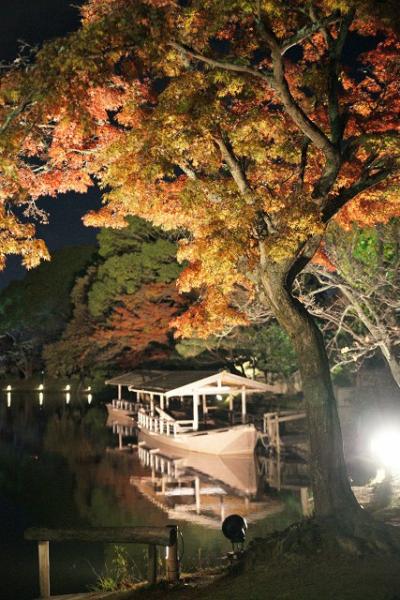 嵯峨野　大覚寺の紅葉（ライトアップ版）