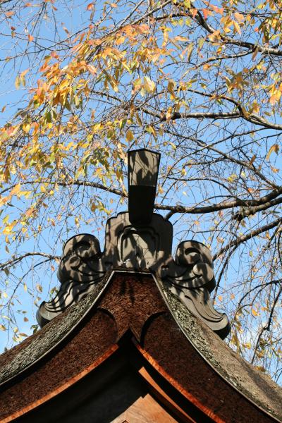 2009秋、尾張四観音・龍泉寺観音(4/4)：紅葉、黄葉、水掛け地蔵尊、山茶花