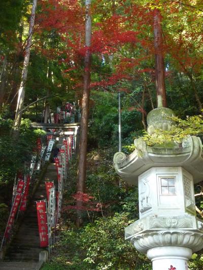 晩秋の飯能ドライブ（東郷公園）