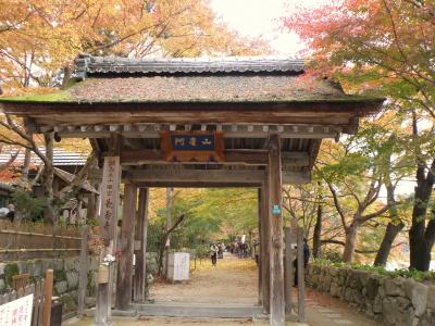 紅葉の湖南三山巡り　その③　長寿寺