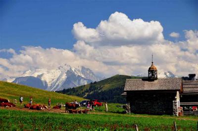 2009年スイスの旅（３）アヌシー近郊　ラ・クルーザとアラヴィス峠　