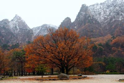 韓国晩秋の旅Ⅱ　束草①【雪岳山（ソラク山）・アバイ村・中央市場】