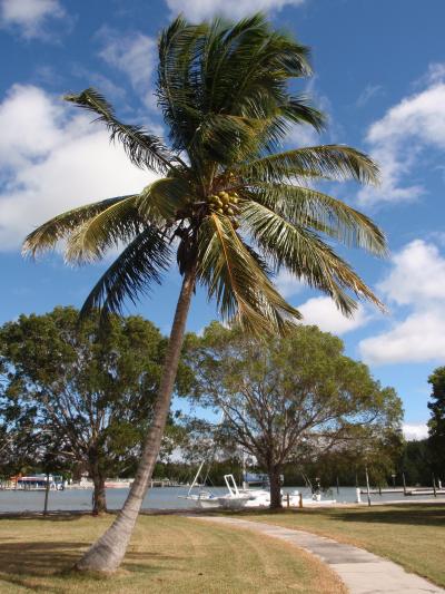 マイアミ、キーウエスト