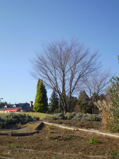 ここにも「山のレストラン」（栃木県益子町）