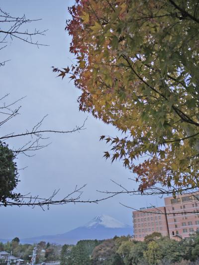 紅葉・時の栖=パナソニックG1編=