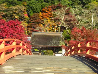 ２００９年・紅葉の室生寺