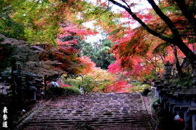 2009紅葉滋賀　湖東へ行く（1）胡宮神社