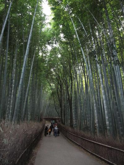 嵯峨野 竹林の道 ~ (その2)