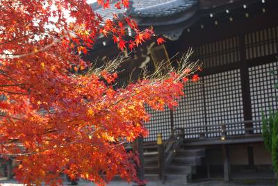 京都 紅葉狩り２００９　③勧修寺編