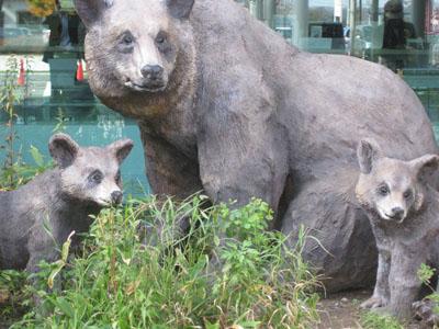 2009～秋の北海道！　キンキの鍋に舌鼓！　道東は美味い！