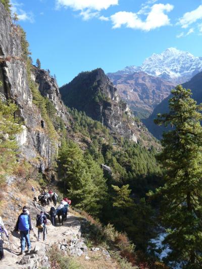 エベレスト街道トレッキング--②パグディン～ナムチェ編