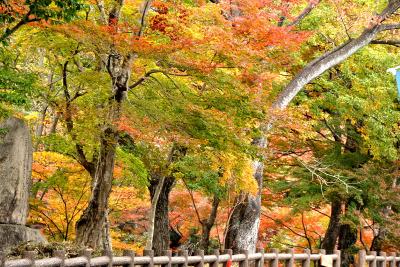 2009　水沢もみじまつり