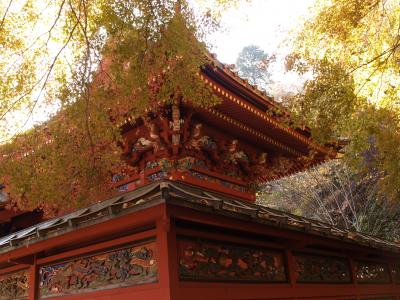 高尾山の権現造りの社殿