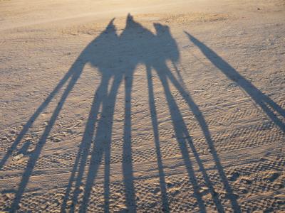 チュニジア 4泊7日の弾丸ツアー!その3