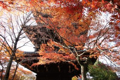秋の京都　ぶらり散歩旅　3日目