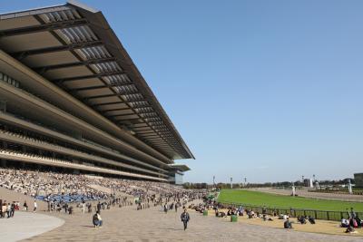 東京競馬場