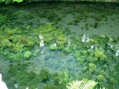 2009 GW 九州 阿蘇、博多、門司 ①