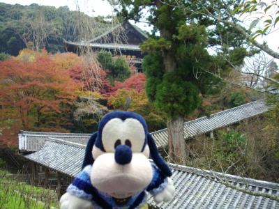 グーちゃん、長谷寺に行く！（後編）