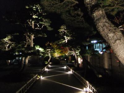 紅葉の由志園　夜間鑑賞会♪