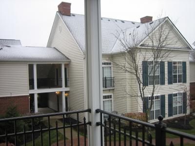 サンクスギビングディと初雪