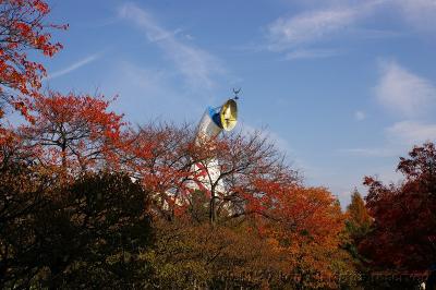 256万博公園の晩秋