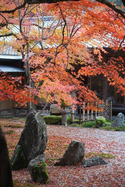 同窓会を兼ねた九州の旅①光明禅寺の紅葉を愛でる