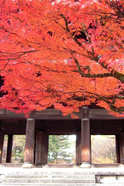 京都の紅葉◆紅く染まる南禅寺