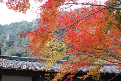 深耶馬渓散歩路