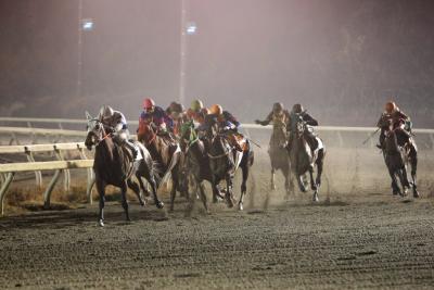 高知競馬場