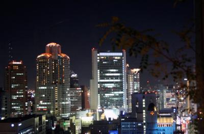 夜景を眺めながら