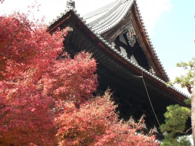 京の秋(一)・・・・・・・相国寺の紅葉