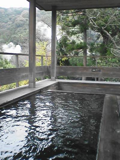 【小さな旅】2009 九州行・七日目 鉄輪温泉・鬼石の湯