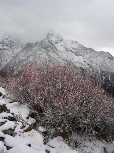 エベレスト街道トレッキング--⑤モン・ラー峠→ビューホテル→ギャンツマ編