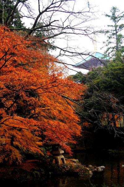 成田山新勝寺のもみじ　★房総紀行 (12) ★