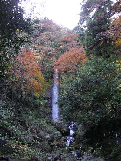 紅葉狩り　①　養老の滝