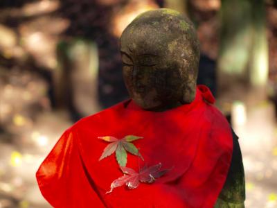 陽だまりお散歩