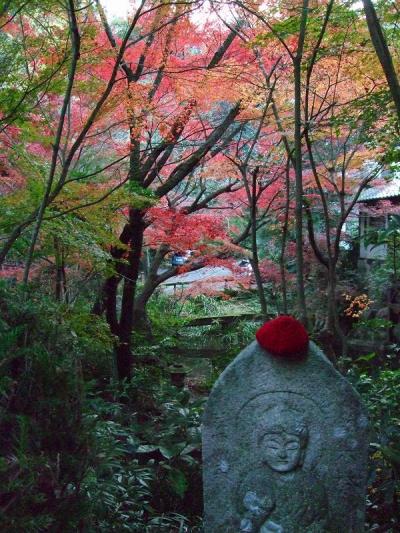 錦に染まる三瀧寺！（その１）