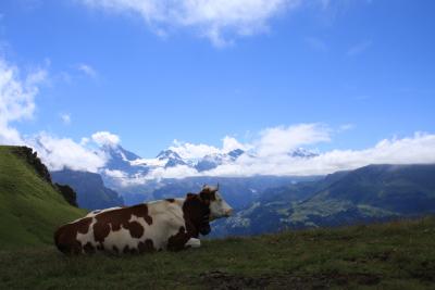 yutaの旅行記 ☆スイス縦断7日間☆