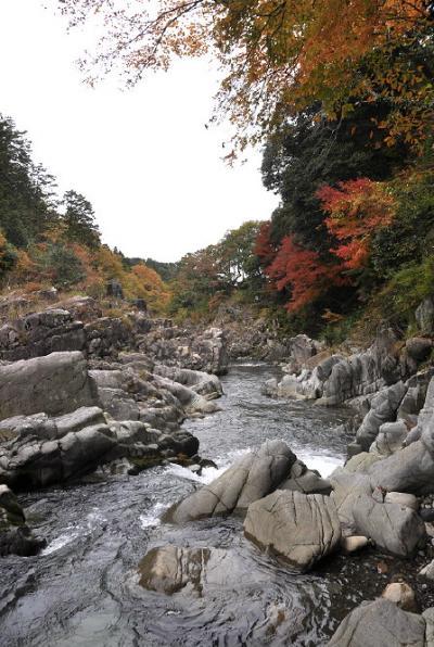 2009紅葉滋賀　湖東へ行く（2）大瀧神社.高源寺