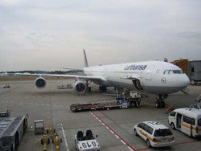 ハネムーン~2日目~