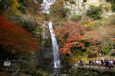 257箕面公園・紅葉ラスト