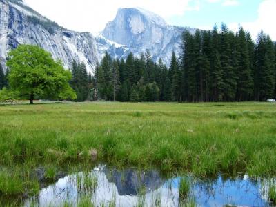 Yosemite 2　（2005年春の旅行記）