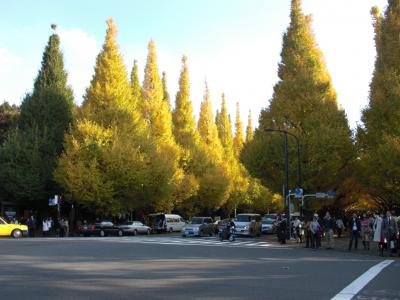 いちょう並木 神宮外苑 2009.11