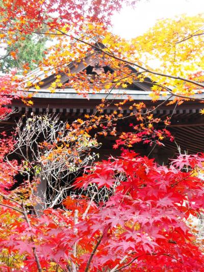 新座-1　金鳳山平林寺は関東の名刹　☆禅宗伽藍の美