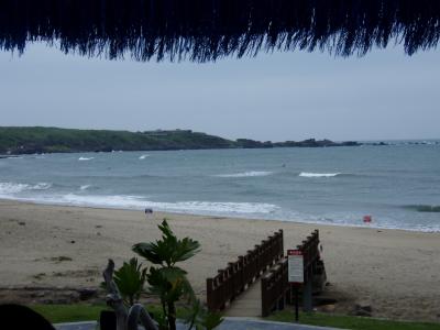 台北サーフトリップ？