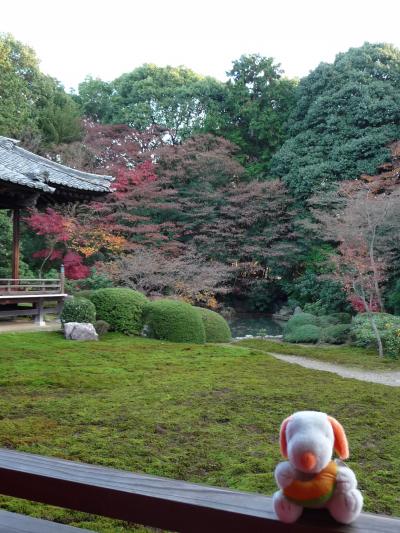 京都南部＆大阪東部コミュのオフ会＠山科【(3)随心院～カフェタイム編】