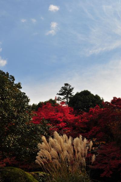 京都紅葉巡り 洛北・東山編