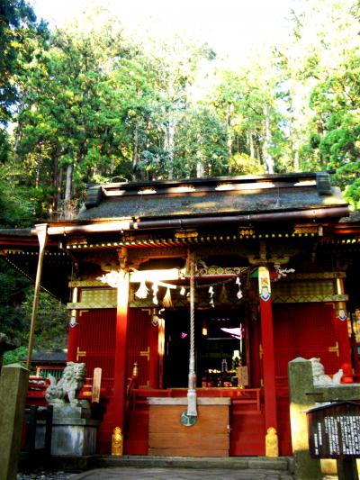 鳳来寺山-下り　天狗岩･鷹打場を経て東照宮へ　☆眺望は絶景にして