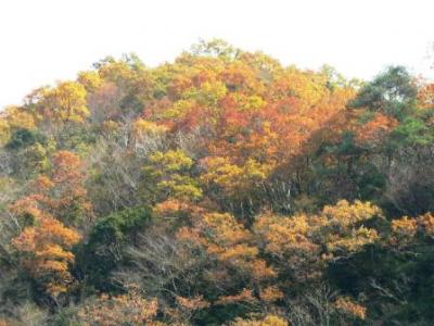 瀬戸内海沿岸６県巡り