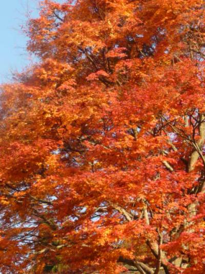 有馬紅葉【2】歴史を感じる有馬の街